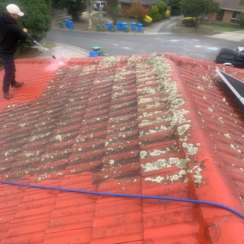 99 Roof Restoration